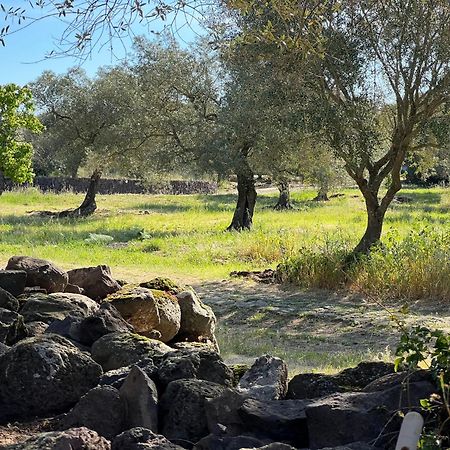 Muristene Pozzo Santa Cristina Paulilatino Eksteriør billede